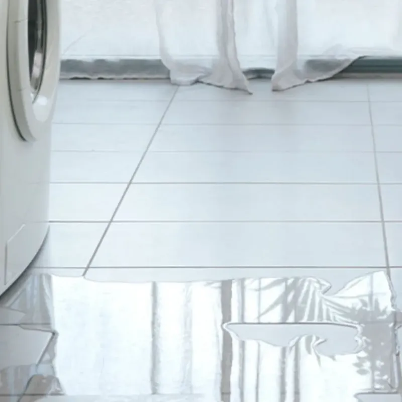 Appliance Leak Cleanup in Bellevue, IA