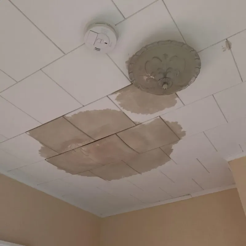 Ceiling Water Damage Repair in Bellevue, IA