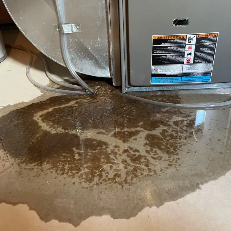 Pipe Burst and Leak Restoration in Bellevue, IA