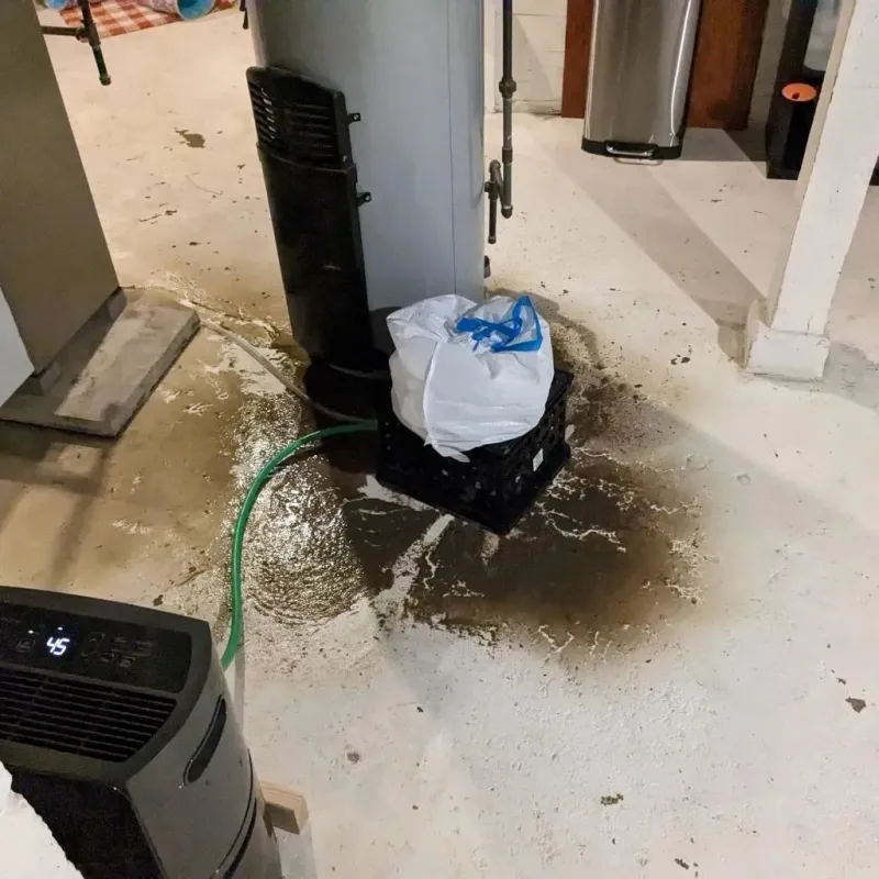 Sewage Backup Cleanup Service in Bellevue, IA